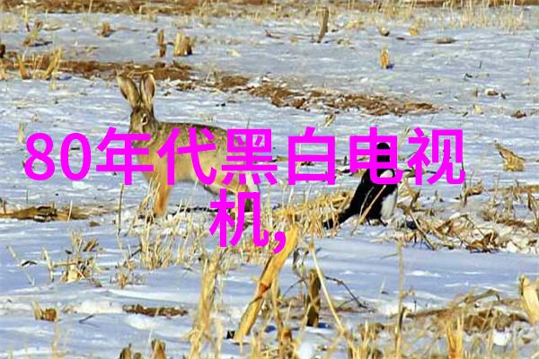 防疫必备掬取清凉的智慧