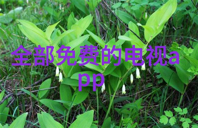 紫府仙缘穿越之谜与爱恋的绘卷