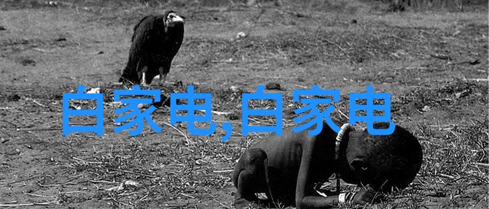 化工帝国之谜中国十大机械厂的秘密