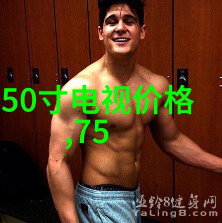 电视机十种常见故障图解高清晰度显示问题声音不出来无信号接收屏幕雪花纹理大屏幕死机等