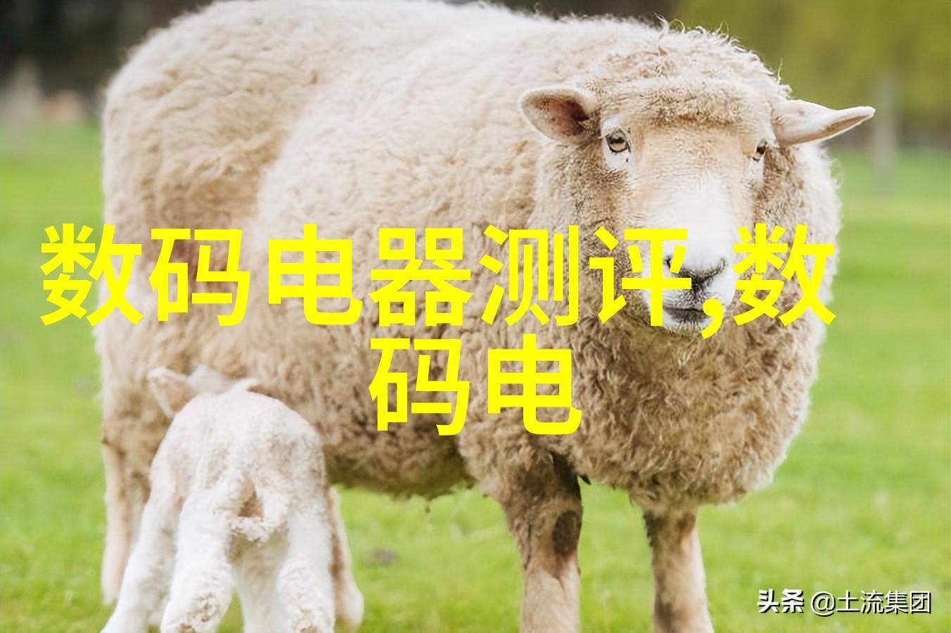 迈开腿让学长尝尝你的森林作文 - 林间的秘密花园一个不一样的探险故事
