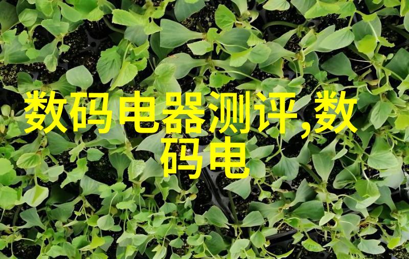 精心构建完善的市场调查问卷表模板设计与应用技巧探究