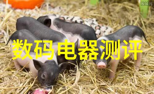 最全免费电视软件下载高清直播电影电视剧体育赛事