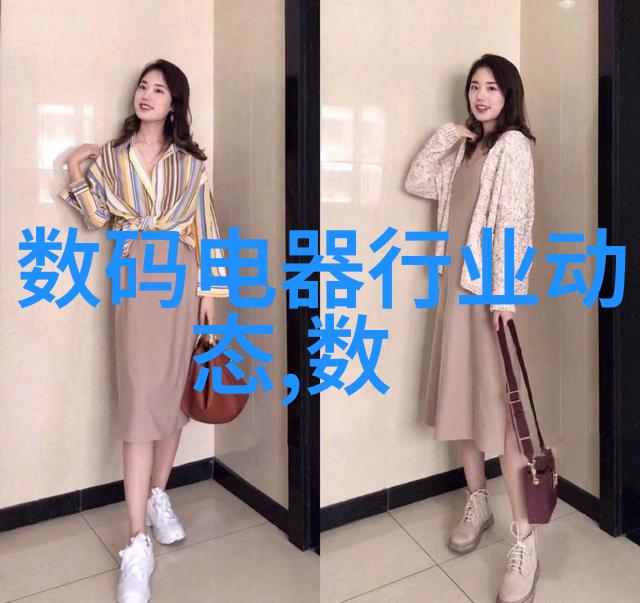高效固体催化剂的固定流化床反响体系开发