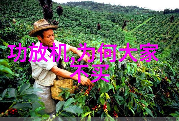 探究纯净水的秘密tds水质检测仪如何确保饮用水安全与可靠