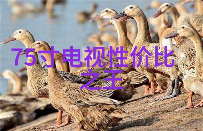 主材选择家居装修的关键材料