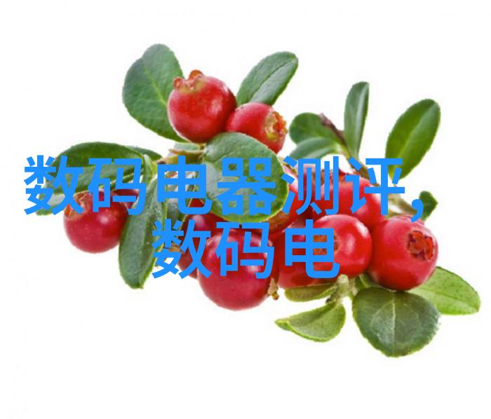 固定床反应器设计原则与应用实例