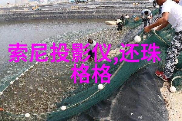 离心脱水机的原理与结构-旋转器分离网与压力阀揭秘高效脱水的关键组成
