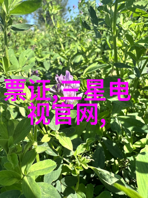 附近不锈钢加工定做电话专业无缝不锈钢制品定制服务