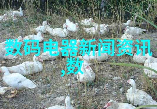 规整填料生产技术的前沿探索与应用实践