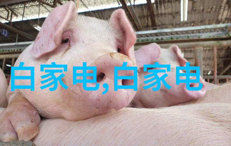 水利之光电力未来探秘水利水电工程专业的双重宝藏