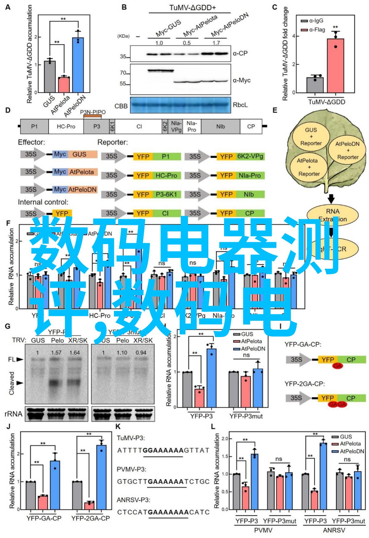 体育老师的单杠课堂激发潜能的挑战与成长