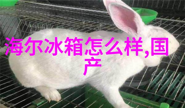 PE管子厂家-专业制造高品质PE管子的选择与应用