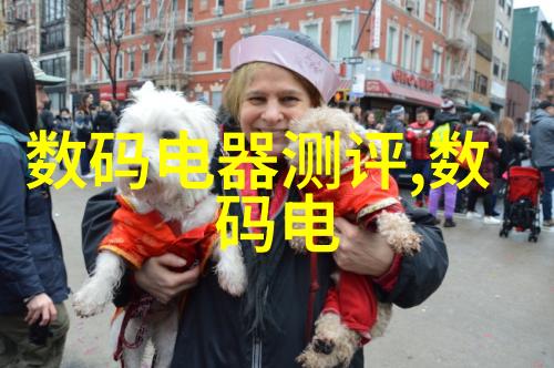 机器之心静默的艺术家