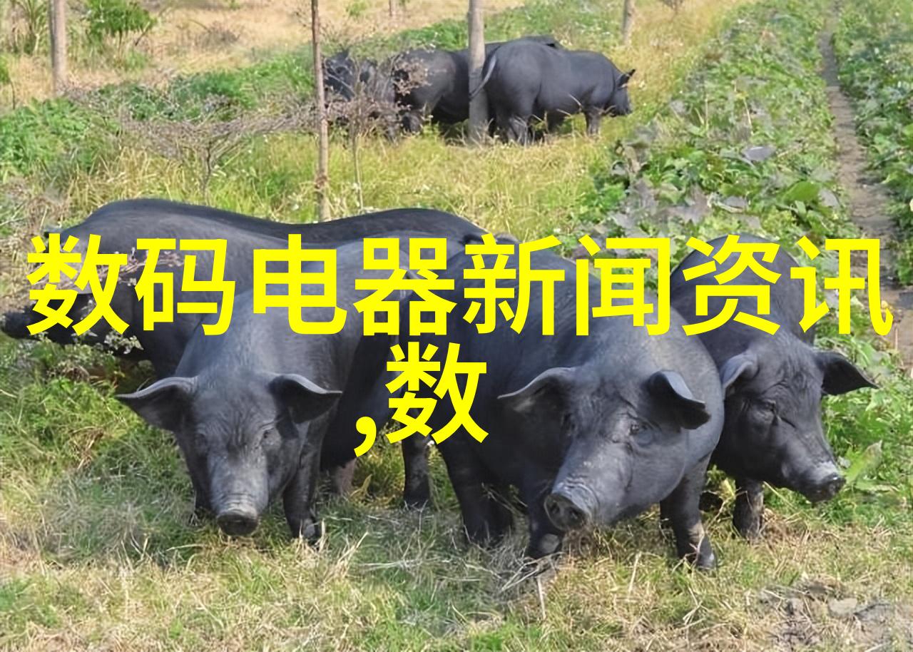 废旧设备的新篇章回收与再生之旅