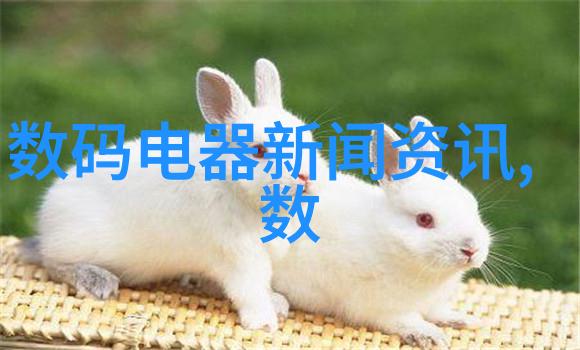 冷冻干燥机-解析冷冻干燥机的关键结构与工作原理