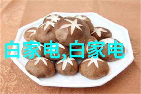 填料塔技术-探索填料塔提升能量转换效率的关键结构