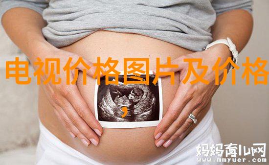生物实验室的设备-高效能分析仪器与安全操作系统的完美结合