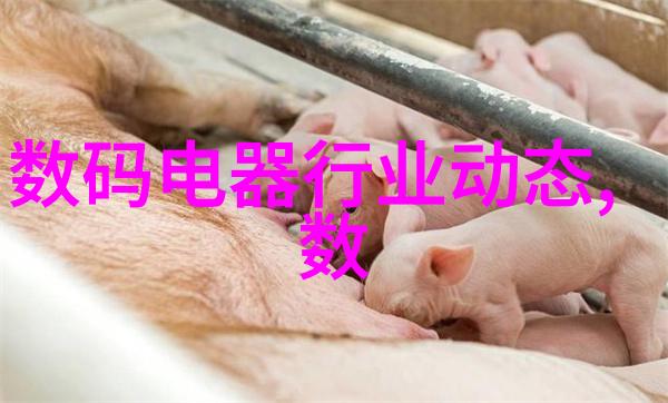 干燥设备厂-追踪水分干燥设备厂的技术革新与应用实录
