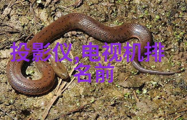 水电之歌潮汐奏鸣曲