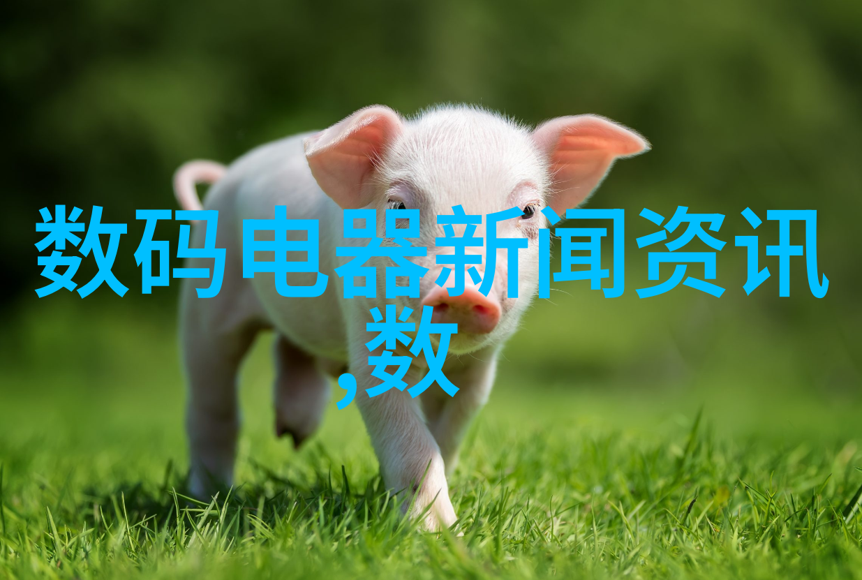 智能穿戴未来穿在身上的科技宠儿