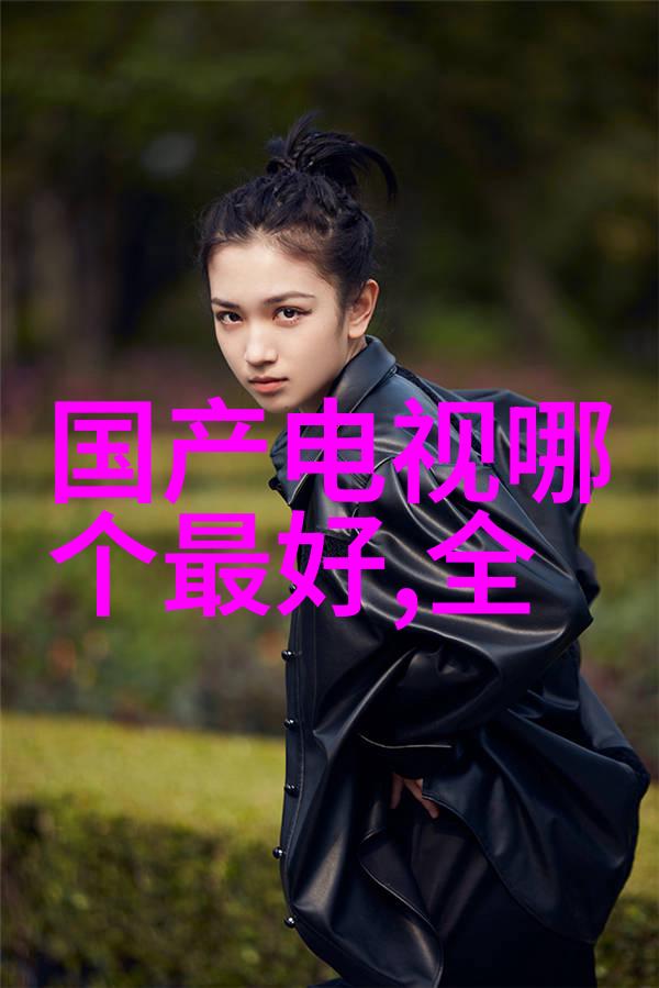 冷冻食品保鲜小冰柜高效节能的家庭冷藏解决方案