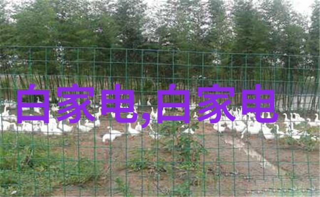 索尼摄影大赛专业人像拍摄行货机型推荐3500-5000元