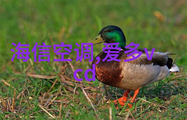 专业拍照设备都有哪些适马28-70mm F2.8 DG DN Contemporary镜头存在鬼影问