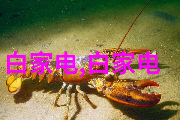 大规模生产中精馏设备维护与保养策略探讨
