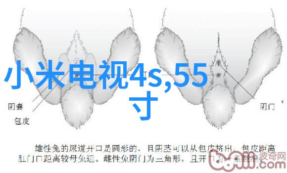 回收二手机械设备我是如何把旧机器变成新钱的故事