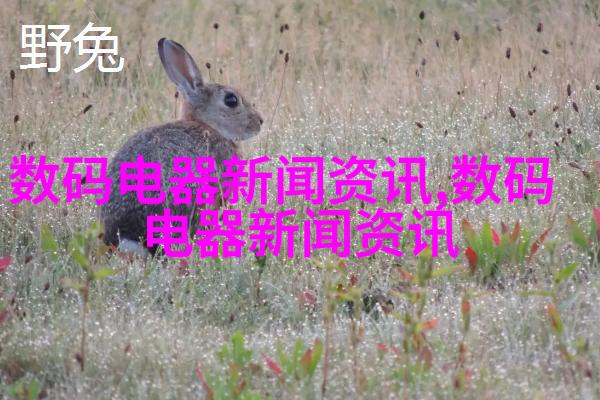 自动门禁系统