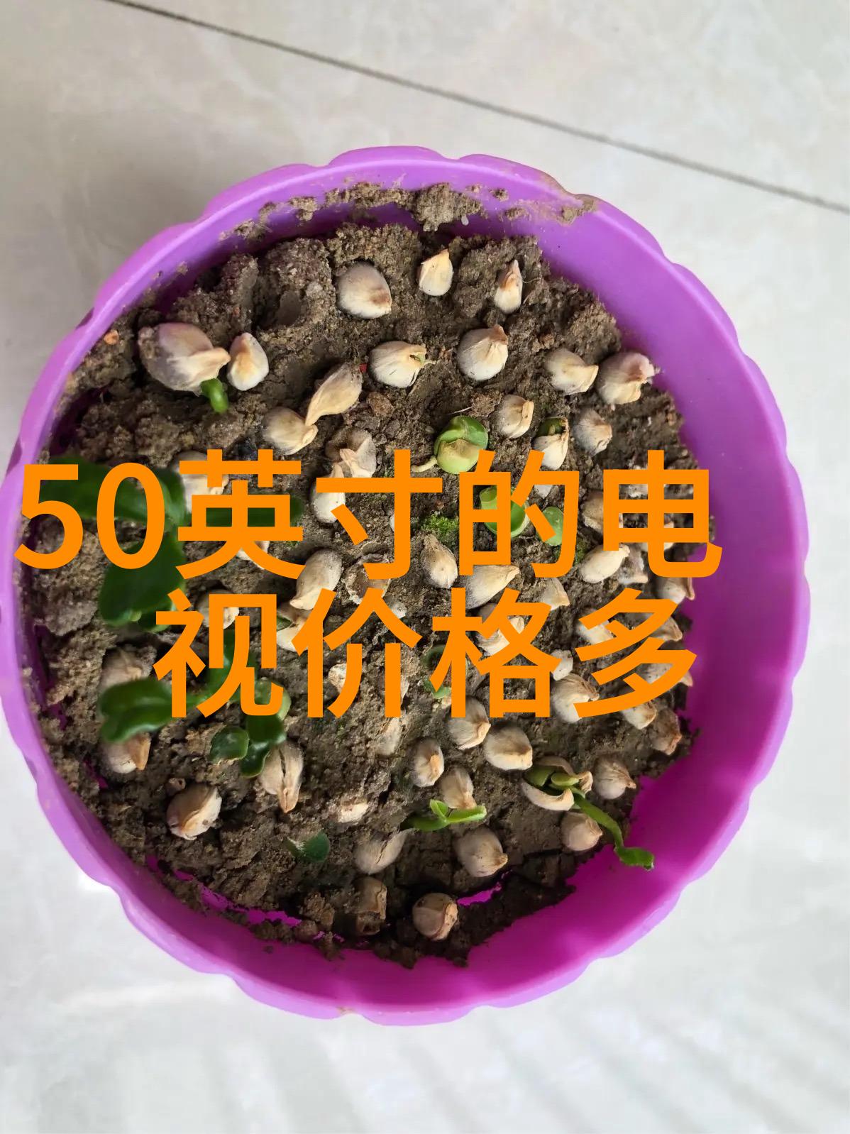 中铝智能工厂-铸就未来中铝集团智能化转型的新篇章