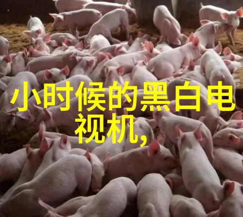电视暗影解锁黑屏救赎之门