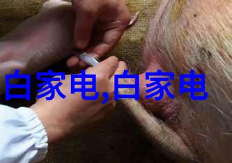 促进剂生长激素增强剂