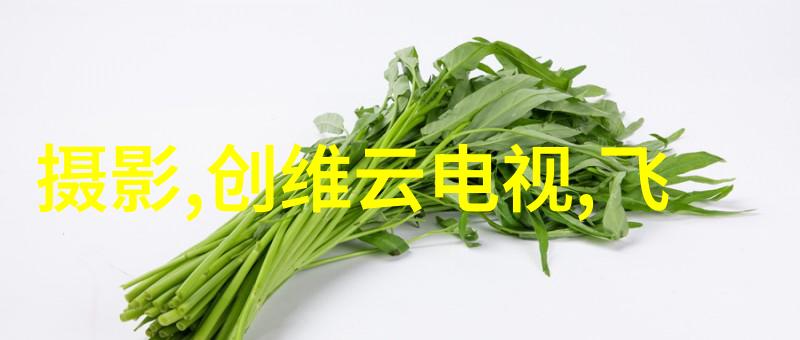 不锈钢波纹填料之谜揭开它背后的秘密世界