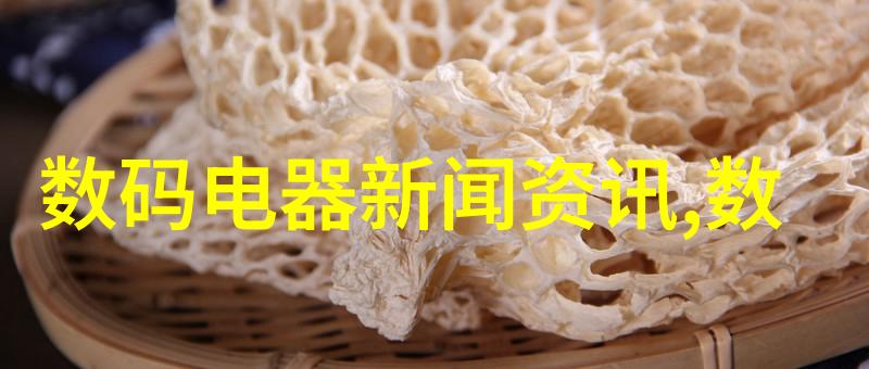 振动电机技术与应用概述从基础原理到实用案例
