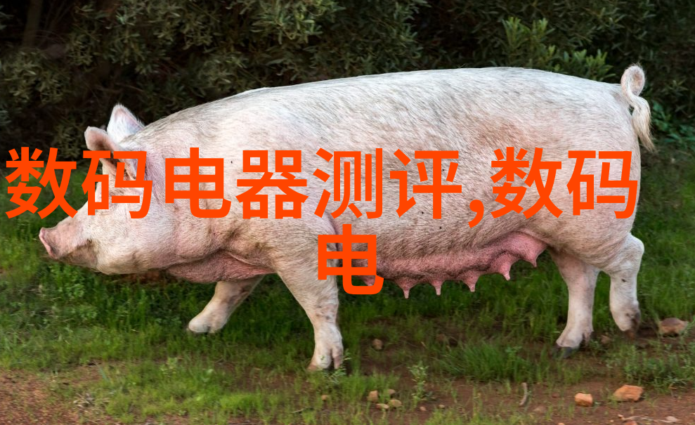塔状结构的秘密探索填料塔的世界