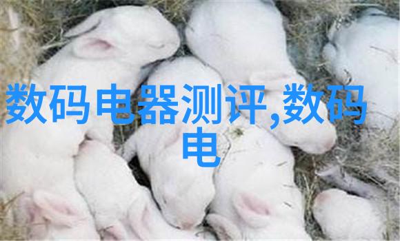 高效节能传动带系统提升工业自动化设备的运行效率