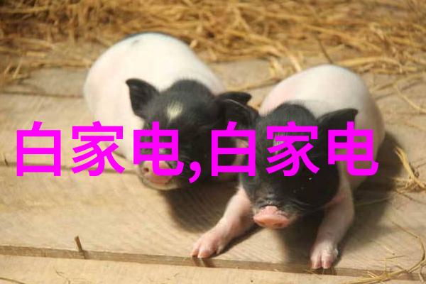 技术革新如何选择适合你不锈钢加工厂的先进设备