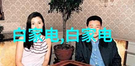 设备技术-高效沙石分离机重塑建筑材料处理的未来