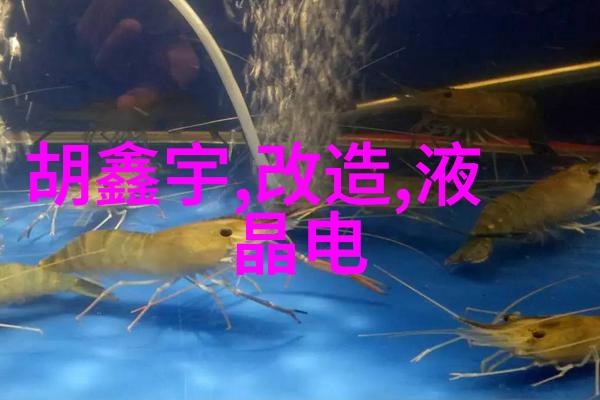 图片背后的故事画卷中的秘密
