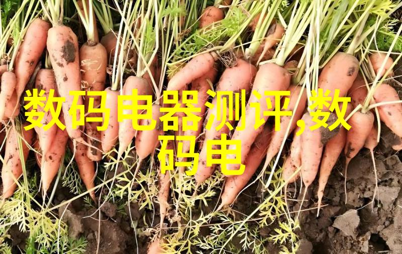 精准切制剖析食品加工中的细腻技术与艺术