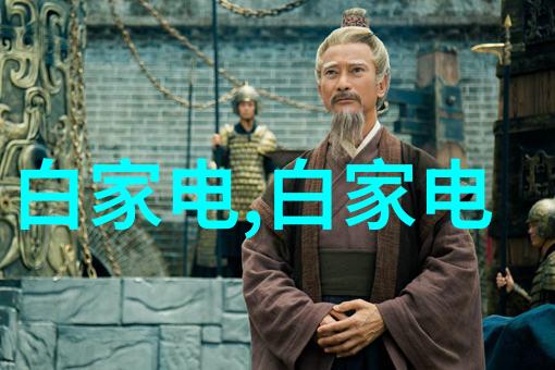 中国智能物流骨干网 - 构建智慧物流新格局中国智能物流骨干网的规划与发展