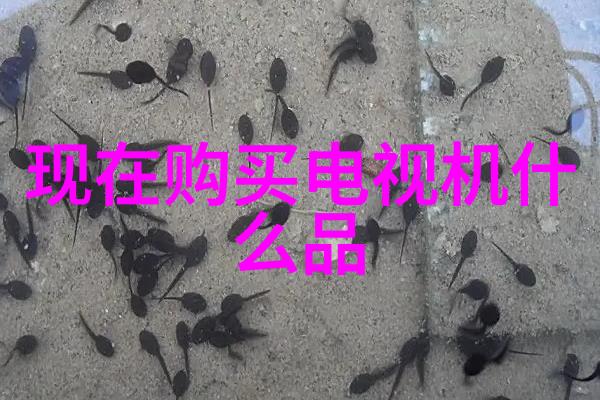 主题老狼的50MAOFF你我他谁不嫉妒