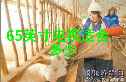 骁龙8性能强悍的旗舰芯片
