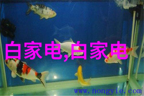 二手杀菌锅的故事传递清洁与温暖