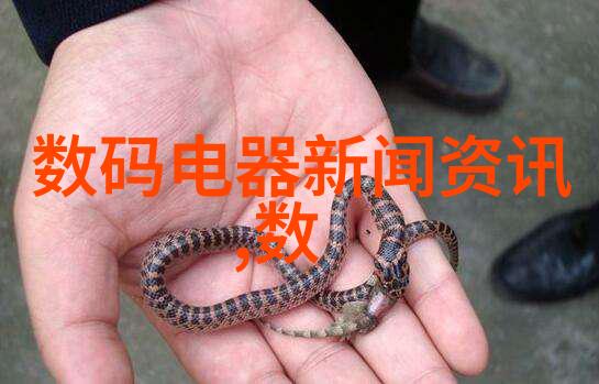 制冷设备维修艺术从冰箱到空调保鲜每一份舒适