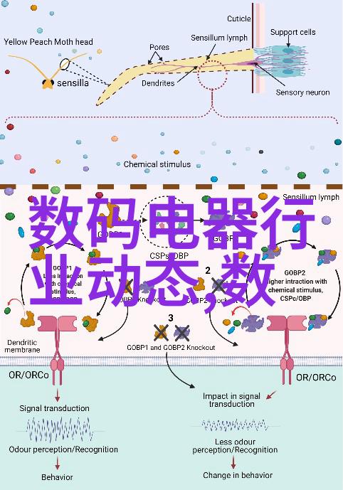 智能物流技术我是如何利用数据分析让货运更高效的