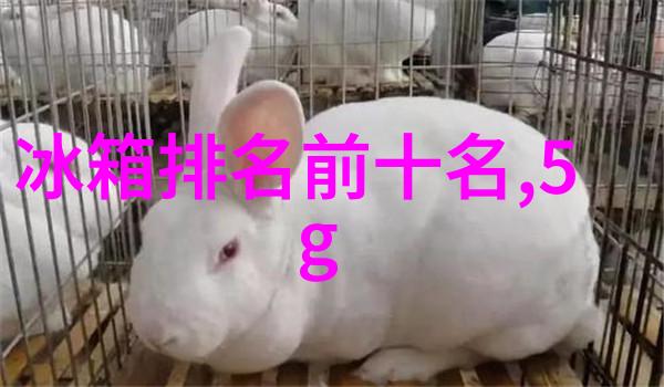 农产品质量安全检测新技术的应用与展望