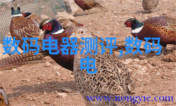 食用化工原料大全我来教你这些常见的化工原料都能吃吗